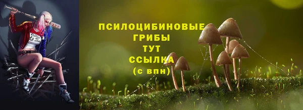 стаф Армянск