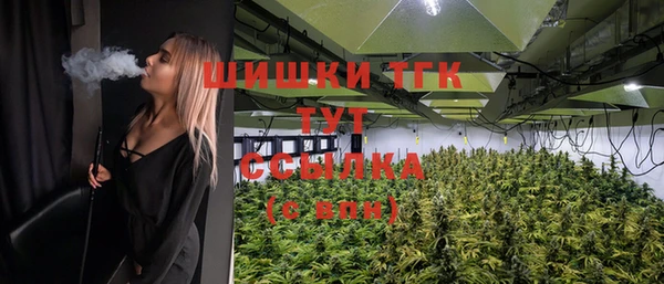 стаф Армянск