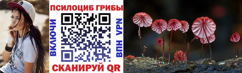 blacksprut вход Себеж Галлюциногенные грибы MAGIC MUSHROOMS